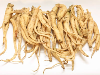 CÂY GIỐNG - SÂM NGỌC LINH